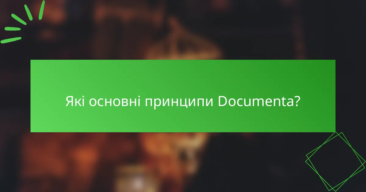 Які основні принципи Documenta?