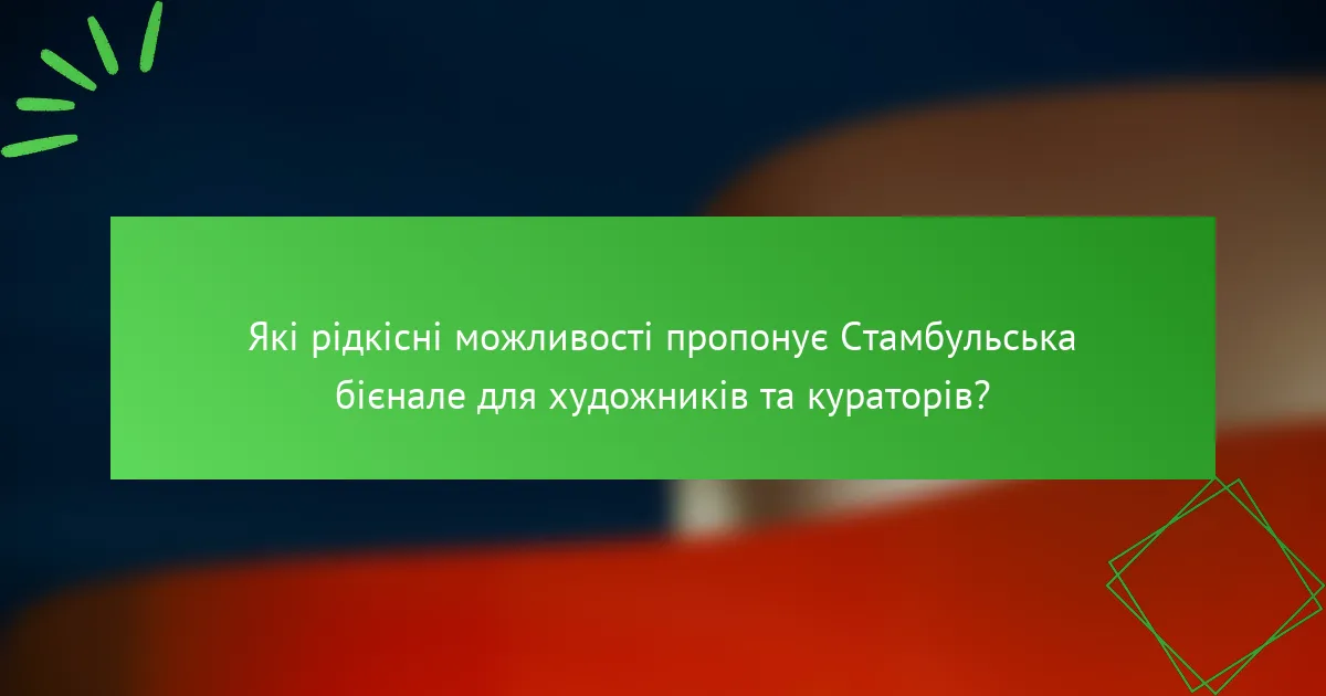 Які рідкісні можливості пропонує Стамбульська бієнале для художників та кураторів?