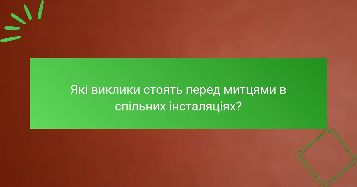 Які виклики стоять перед митцями в спільних інсталяціях?